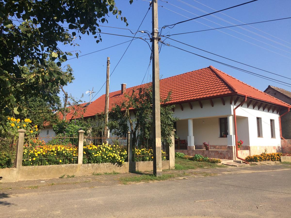 Bajusz Vendeghaz Otel Tornyosnémeti Dış mekan fotoğraf